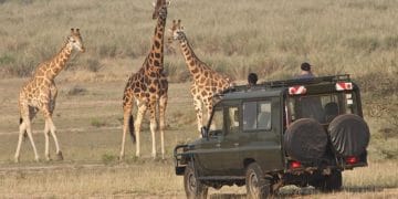 National Geographic merilis daftar 25 destinasi terbaik untuk dikunjungi pada tahun 2026. Dari Inggris hingga Jepang, ini rekomendasi liburan terbaik dunia. (Foto: explorerwandatours.com)