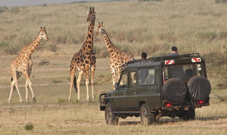 National Geographic merilis daftar 25 destinasi terbaik untuk dikunjungi pada tahun 2026. Dari Inggris hingga Jepang, ini rekomendasi liburan terbaik dunia. (Foto: explorerwandatours.com)