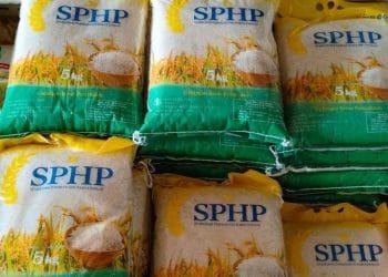 Bapanas temukan 29 ribu ton beras pemerintah di gudang Bulog alami penurunan mutu. Sebagian besar beras berasal dari impor. (Foto: Dok. Bulog)