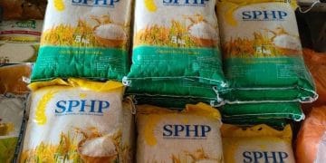 Bapanas temukan 29 ribu ton beras pemerintah di gudang Bulog alami penurunan mutu. Sebagian besar beras berasal dari impor. (Foto: Dok. Bulog)