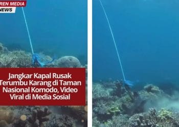 Video jangkar kapal rusak terumbu karang di Pulau Sebayur Kecil, Taman Nasional Komodo, viral dan menuai kecaman publik atas kelalaian di area konservasi.