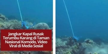 Video jangkar kapal rusak terumbu karang di Pulau Sebayur Kecil, Taman Nasional Komodo, viral dan menuai kecaman publik atas kelalaian di area konservasi.