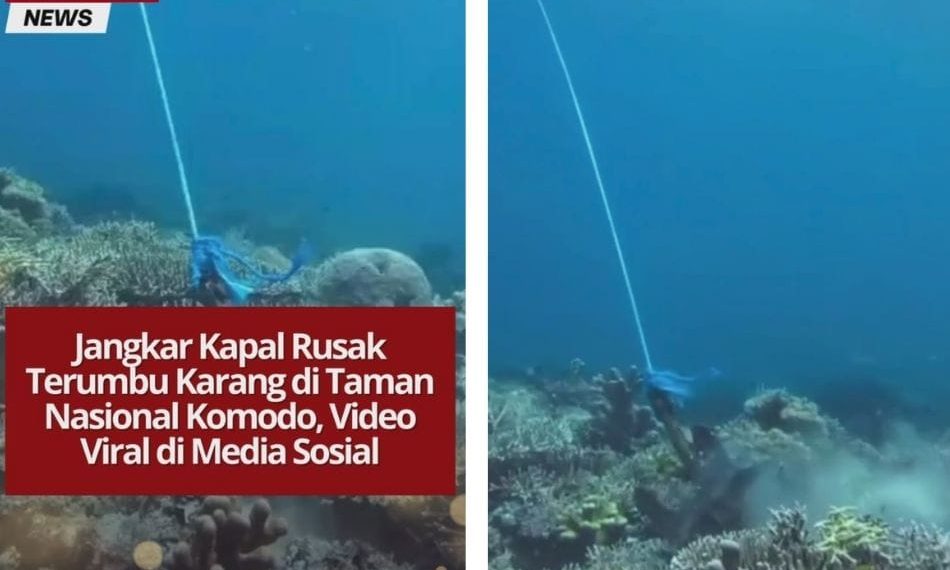 Video jangkar kapal rusak terumbu karang di Pulau Sebayur Kecil, Taman Nasional Komodo, viral dan menuai kecaman publik atas kelalaian di area konservasi.