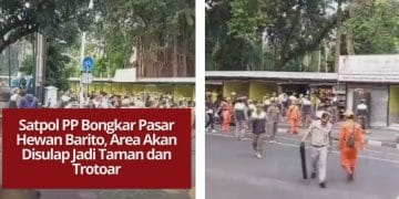 Satpol PP Jaksel bongkar Pasar Hewan Barito untuk kembalikan fungsi taman dan trotoar sesuai arahan Gubernur DKI Jakarta dalam program revitalisasi.
