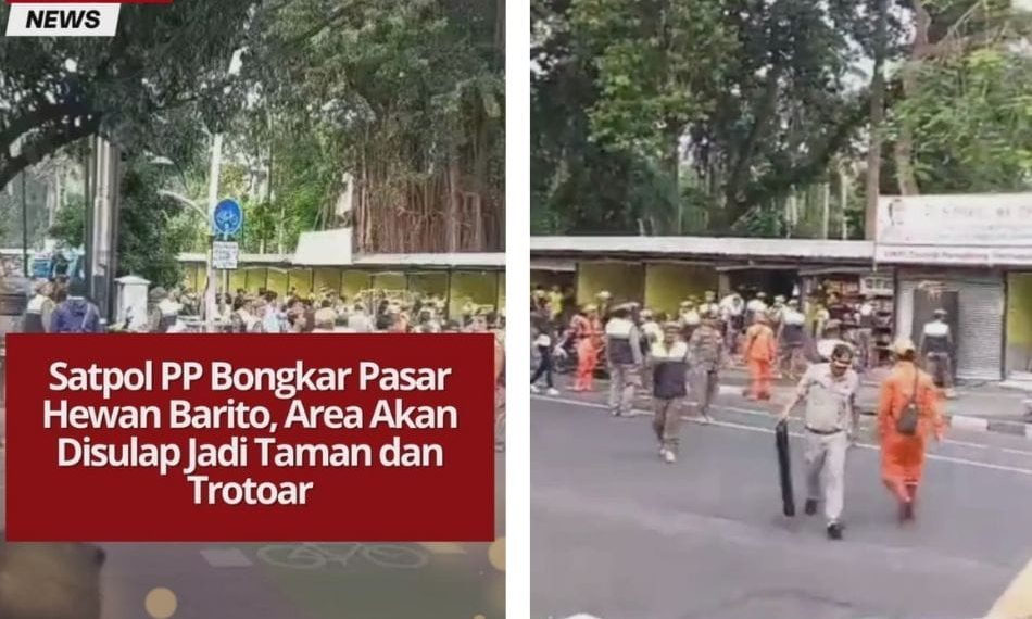 Satpol PP Jaksel bongkar Pasar Hewan Barito untuk kembalikan fungsi taman dan trotoar sesuai arahan Gubernur DKI Jakarta dalam program revitalisasi.