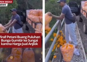 Video viral warga membuang bunga gumitir ke sungai karena harga jual anjlok membuat publik prihatin dan berharap pemerintah bantu petani.