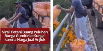 Video viral warga membuang bunga gumitir ke sungai karena harga jual anjlok membuat publik prihatin dan berharap pemerintah bantu petani.