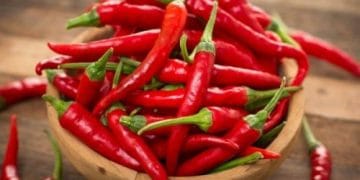 Cabai segar disimpan dalam wadah ziplock dan kulkas agar tahan lebih lama (Sumber: resepkoki.id)