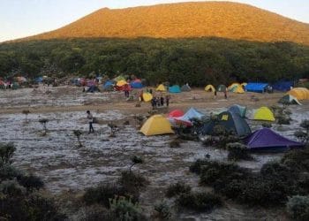 Banyak pendaki buang sampah sembarangan, Gunung Gede Pangrango ditutup sementara untuk pembersihan dan perbaikan sistem pendakian. (Foto: Kompas.com/Dok APGI: Ade Wahyudi)