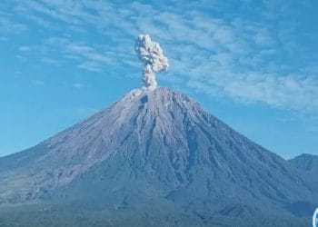 Aktivitas vulkanik Gunung Semeru meningkat dengan 124 letusan tercatat. Petugas imbau warga hindari area radius 8 km dari puncak. (Foto: SindoNews)