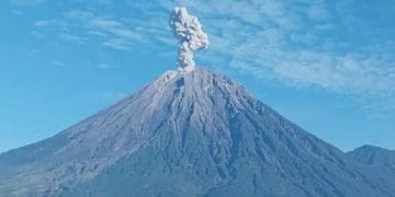 Aktivitas vulkanik Gunung Semeru meningkat dengan 124 letusan tercatat. Petugas imbau warga hindari area radius 8 km dari puncak. (Foto: SindoNews)