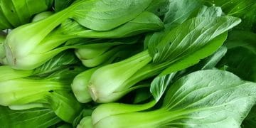 Berbagai sayuran hijau yang kaya kalsium untuk kesehatan tulang. (Foto: iStockphoto/Titin Wahyu Indriani)