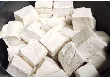 Pelajari cara menyimpan tahu agar tetap segar berbulan-bulan, baik di kulkas maupun freezer, dengan trik mudah dan praktis. (Foto: YouTube/Umi Zaadan's Kitchen)