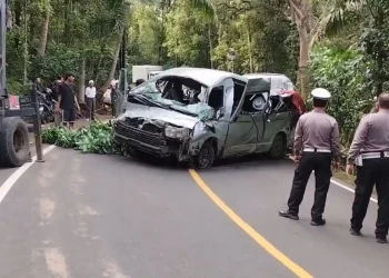 Sebuah minibus turis jenis Toyota Hiace tabrak pohon di jalur Singaraja-Denpasar, Bali. Lima WNA China tewas dan delapan lainnya luka. (Foto: KOMPAS.com/Hasan)
