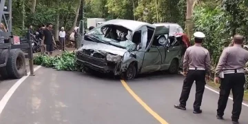 Sebuah minibus turis jenis Toyota Hiace tabrak pohon di jalur Singaraja-Denpasar, Bali. Lima WNA China tewas dan delapan lainnya luka. (Foto: KOMPAS.com/Hasan)