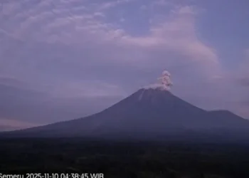 Gunung Semeru kembali erupsi pagi ini dengan tinggi letusan mencapai 800 meter di atas puncak. PVMBG imbau warga tetap waspada dan hindari area berbahaya. (Foto: Merdeka.com)