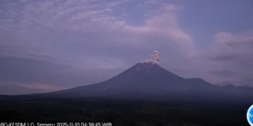 Gunung Semeru kembali erupsi pagi ini dengan tinggi letusan mencapai 800 meter di atas puncak. PVMBG imbau warga tetap waspada dan hindari area berbahaya. (Foto: Merdeka.com)