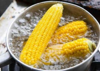 Air rebusan jagung mengandung berbagai nutrisi penting yang bermanfaat bagi tubuh. Temukan beragam khasiatnya untuk tulang, kulit, hingga jantung. (Foto: RRI)