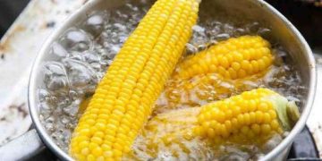 Air rebusan jagung mengandung berbagai nutrisi penting yang bermanfaat bagi tubuh. Temukan beragam khasiatnya untuk tulang, kulit, hingga jantung. (Foto: RRI)