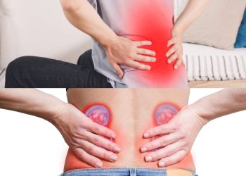 Temukan berbagai jenis minuman yang dapat membebani ginjal jika dikonsumsi berlebihan dan pahami bagaimana pilihan minuman harian memengaruhi kesehatan ginjal. (Foto: pagaralampos.co-net)