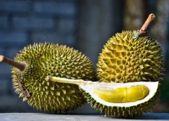 Pemerintah Malaysia menanggapi usulan penetapan durian sebagai buah nasional dan tengah mengkaji dampak sosial, ekonomi, dan budaya dari wacana tersebut. (Foto: flickr.com/Mohd Hafizuddin Husin)
