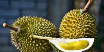 Pemerintah Malaysia menanggapi usulan penetapan durian sebagai buah nasional dan tengah mengkaji dampak sosial, ekonomi, dan budaya dari wacana tersebut. (Foto: flickr.com/Mohd Hafizuddin Husin)