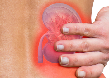 Kasus gagal ginjal kronis meningkat tajam di dunia dan kini jadi penyebab kematian utama. Kenali faktor risiko, gejala awal, dan alasannya makin mengkhawatirkan. (Foto: kpcdi.org)