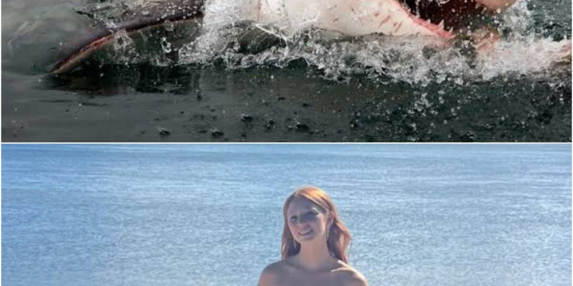 Seorang turis Swiss tewas diserang hiu di Pantai Crowdy Bay Australia, satu lainnya luka serius. Pantai ditutup dan upaya penanganan dilakukan. (Foto: shorts91.com)