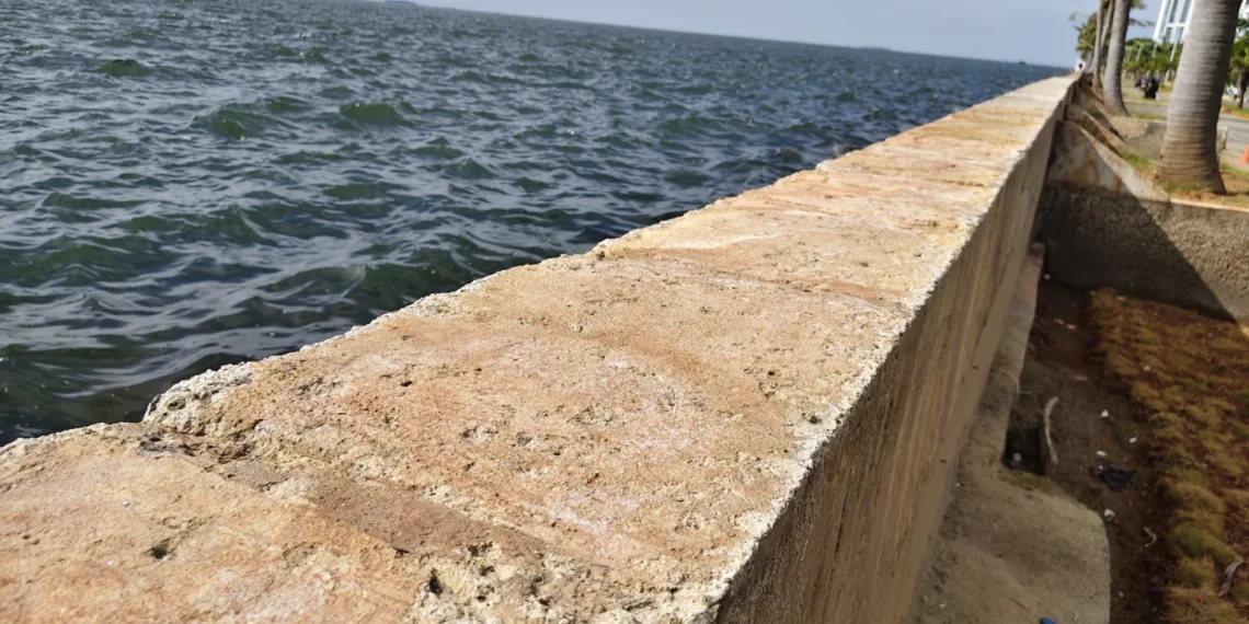 Pemprov DKI meninjau rembesan tanggul Pantai Mutiara. Rano Karno pastikan pengecekan lapangan dan Dinas SDA siapkan rencana peningkatan struktur tanggul. (Foto: OWRITE/Hadi Febriansyah)