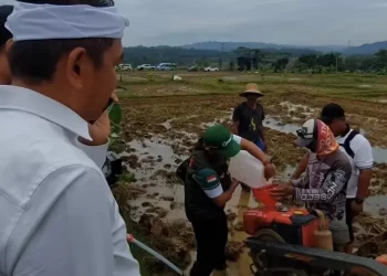 Dedi Mulyadi uji coba bahan bakar alternatif dari jerami di Subang, Jawa Barat, untuk mesin traktor dan potensi energi terbarukan. (Foto: instagram/bobibos_)