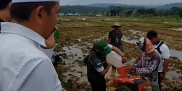 Dedi Mulyadi uji coba bahan bakar alternatif dari jerami di Subang, Jawa Barat, untuk mesin traktor dan potensi energi terbarukan. (Foto: instagram/bobibos_)