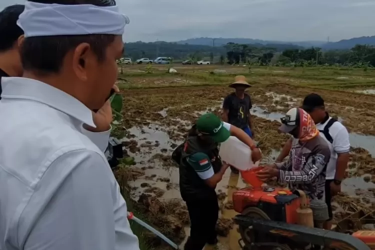 Dedi Mulyadi Uji Coba BBM Alternatif dari Jerami, Energi Terbarukan Masa Depan Dedi Mulyadi uji coba bahan bakar alternatif dari jerami di Subang, Jawa Barat, untuk mesin traktor dan potensi energi terbarukan. (Foto: instagram/bobibos_)