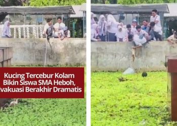 Seekor kucing tercebur ke kolam sekolah membuat siswa SMA panik dan melakukan evakuasi dramatis. Upaya turun ke kolam akhirnya berhasil menyelamatkan kucing itu.