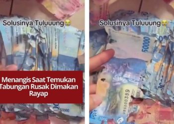 Viral seorang pria menangis setelah uang tabungannya hancur dimakan rayap. Pecahan uang rusak parah dan nyaris tak bisa diselamatkan.