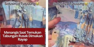 Viral seorang pria menangis setelah uang tabungannya hancur dimakan rayap. Pecahan uang rusak parah dan nyaris tak bisa diselamatkan.