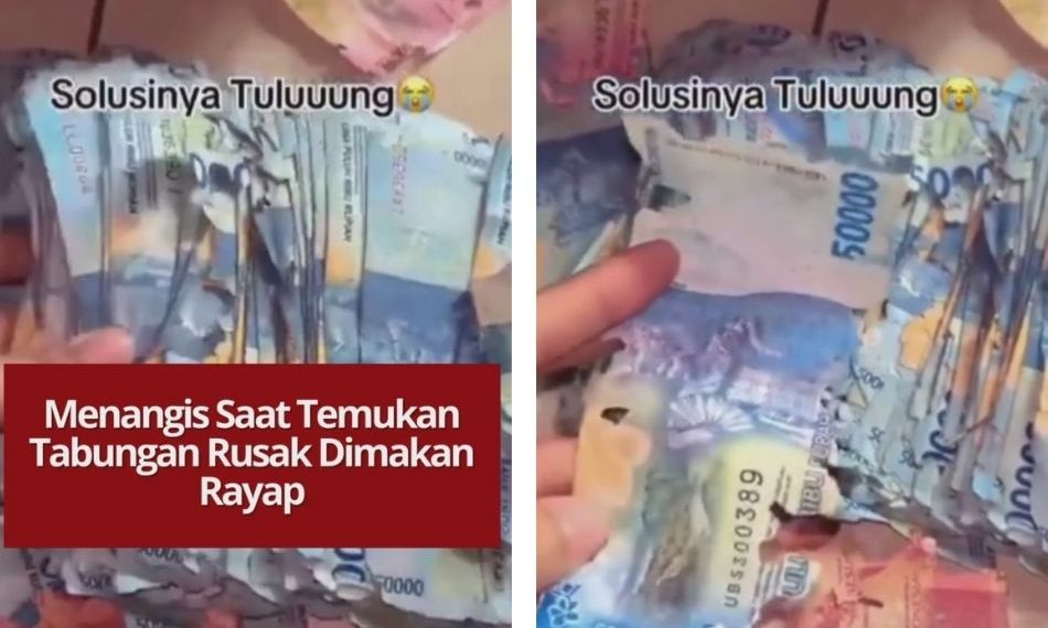 Menangis Saat Temukan Uang Tabungan Hancur Dimakan Rayap Viral seorang pria menangis setelah uang tabungannya hancur dimakan rayap. Pecahan uang rusak parah dan nyaris tak bisa diselamatkan.