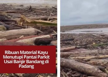 Pantai Parkit di Padang dipenuhi ribuan kayu berondolan setelah banjir bandang membawa material dari hulu. Kawasan pesisir kini berubah total akibat tumpukan kayu dan sampah.