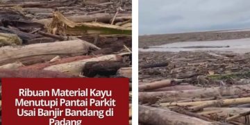 Pantai Parkit di Padang dipenuhi ribuan kayu berondolan setelah banjir bandang membawa material dari hulu. Kawasan pesisir kini berubah total akibat tumpukan kayu dan sampah.