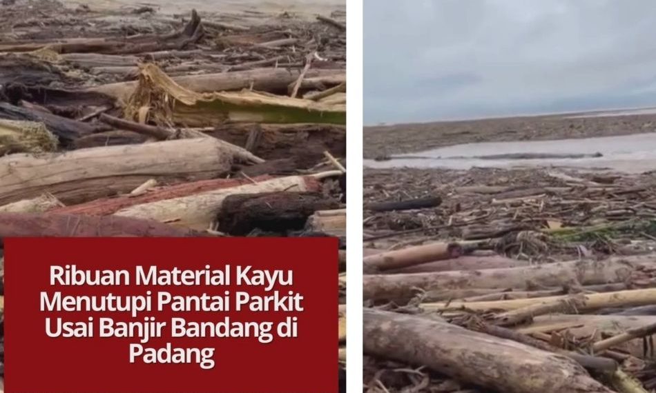 Pantai Parkit di Padang dipenuhi ribuan kayu berondolan setelah banjir bandang membawa material dari hulu. Kawasan pesisir kini berubah total akibat tumpukan kayu dan sampah.