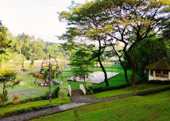 Taman Casuarina di Jagakarsa menawarkan suasana asri, ruang hijau luas, dan cocok untuk piknik, camping kecil, atau sekadar bersantai di Jakarta Selatan. (Foto: Koran Pagi Online)
