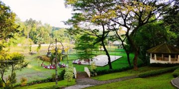 Taman Casuarina di Jagakarsa menawarkan suasana asri, ruang hijau luas, dan cocok untuk piknik, camping kecil, atau sekadar bersantai di Jakarta Selatan. (Foto: Koran Pagi Online)