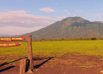 Indonesia memiliki sejumlah taman nasional yang masuk daftar warisan dunia UNESCO berkat keindahan dan keanekaragaman hayatinya. (Foto: Pariwisata Situbondo)