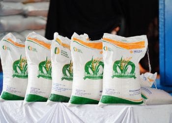 Pemerintah mulai menyalurkan bantuan pangan berupa beras dan Minyakita untuk 18,27 juta penerima di seluruh Indonesia per November 2025. (Foto: dok. Bapanas)