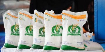 Pemerintah mulai menyalurkan bantuan pangan berupa beras dan Minyakita untuk 18,27 juta penerima di seluruh Indonesia per November 2025. (Foto: dok. Bapanas)