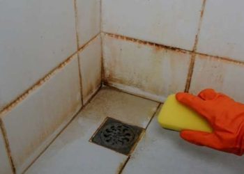 Pelajari cara menghilangkan noda kuning di lantai kamar mandi menggunakan bahan dapur yang aman dan mudah ditemukan untuk hasil yang lebih bersih. (Foto: RRI.co.id)