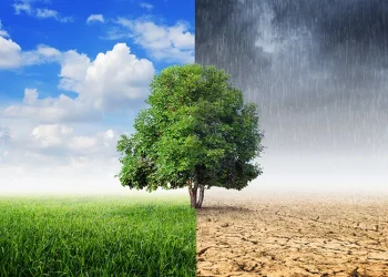 Cuaca ekstrem dengan suhu yang berubah cepat bisa menurunkan sistem imun tubuh. Ahli IPB menjelaskan dampaknya terhadap risiko flu dan infeksi pernapasan. (Foto: Halodoc)