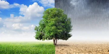 Cuaca ekstrem dengan suhu yang berubah cepat bisa menurunkan sistem imun tubuh. Ahli IPB menjelaskan dampaknya terhadap risiko flu dan infeksi pernapasan. (Foto: Halodoc)