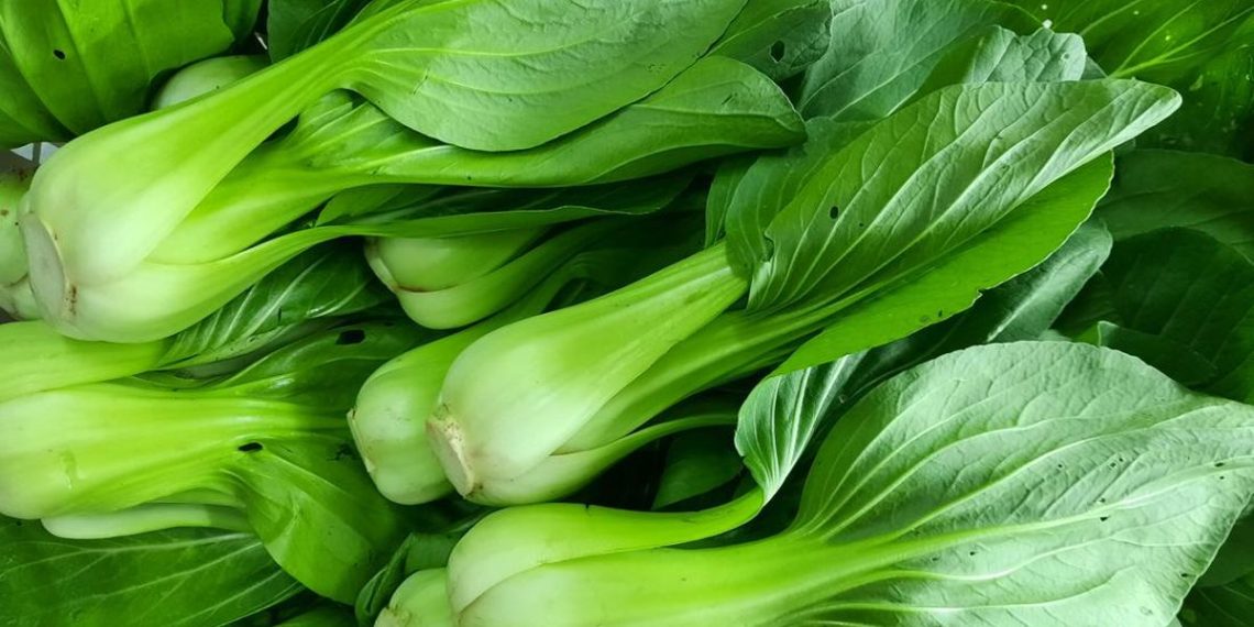 Temukan sayuran tinggi kalsium seperti edamame, pakcoy, kale dan brokoli yang membantu tulang tetap sehat saat usia bertambah. (Foto: iStockphoto/Titin Wahyu Indriani)