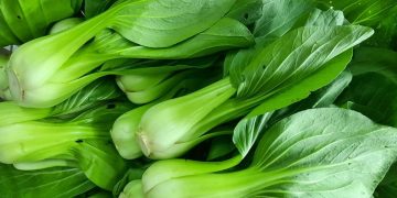 Temukan sayuran tinggi kalsium seperti edamame, pakcoy, kale dan brokoli yang membantu tulang tetap sehat saat usia bertambah. (Foto: iStockphoto/Titin Wahyu Indriani)