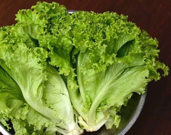 Selada tetap segar hingga satu bulan dengan trik sederhana pakai aluminium foil. Praktis, hemat, dan sayuran tetap renyah. (Foto: RRI.co.id)